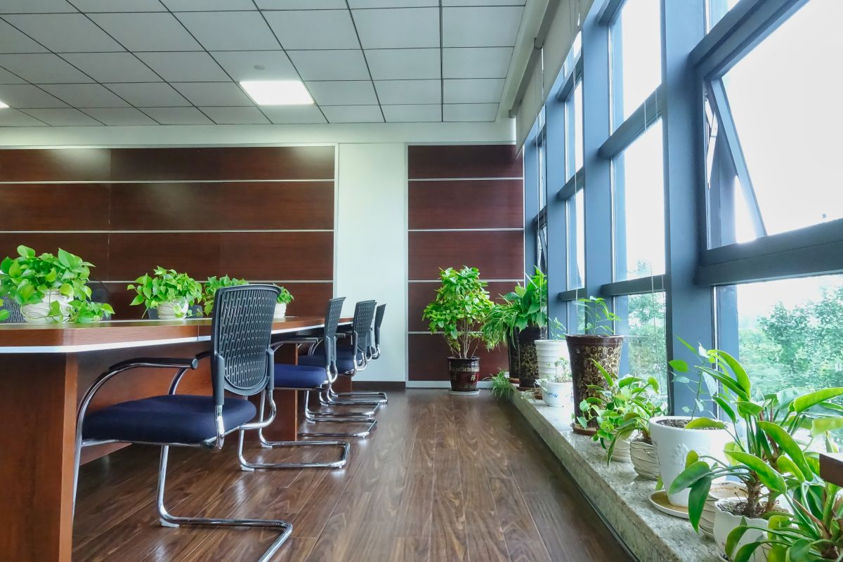 這才叫綠色環(huán)保，四川博水環(huán)保辦公室盛夏綠意